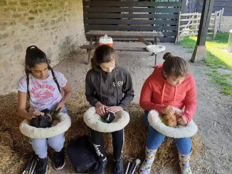 3 young people handling guinea pigs