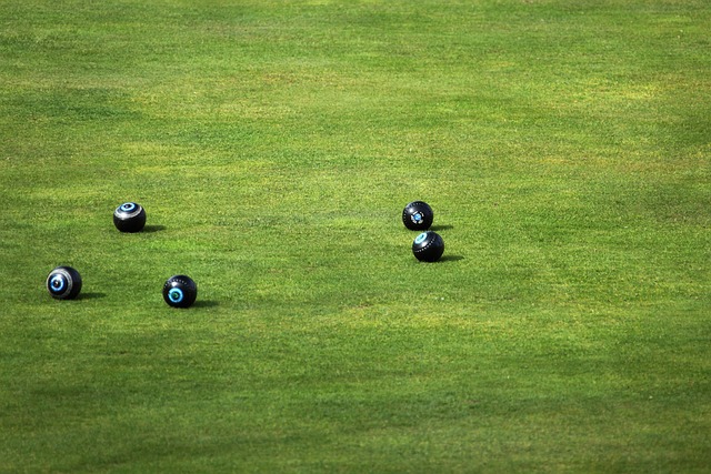 five bowls spread out on a lawn.