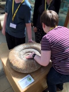 A person feeling a fossil during a touch tour